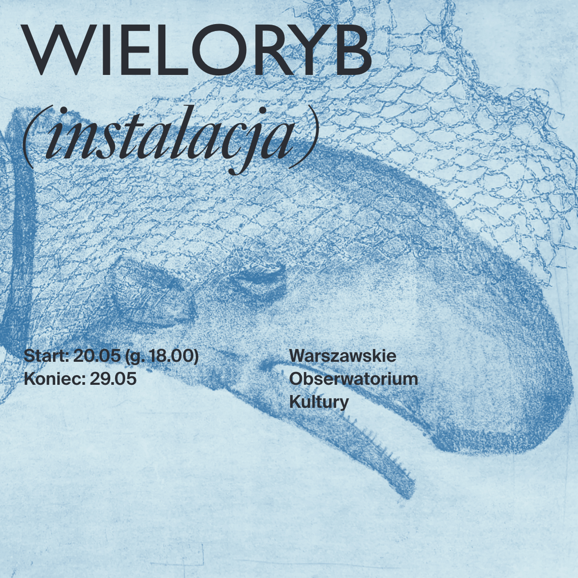 Ilustracja aktualności WHALE - installation  