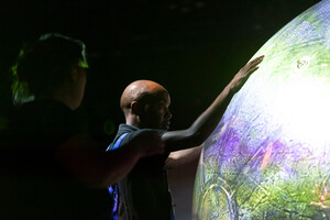 documentation of the Plant Manifest project